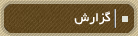 گزارش